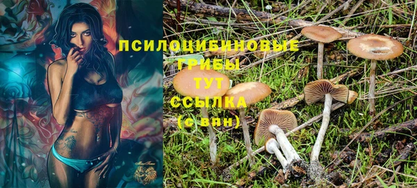 дурь Киренск