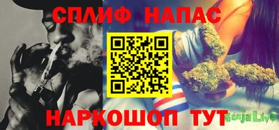 jwh Кинель