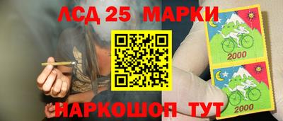 альфа пвп Аргун