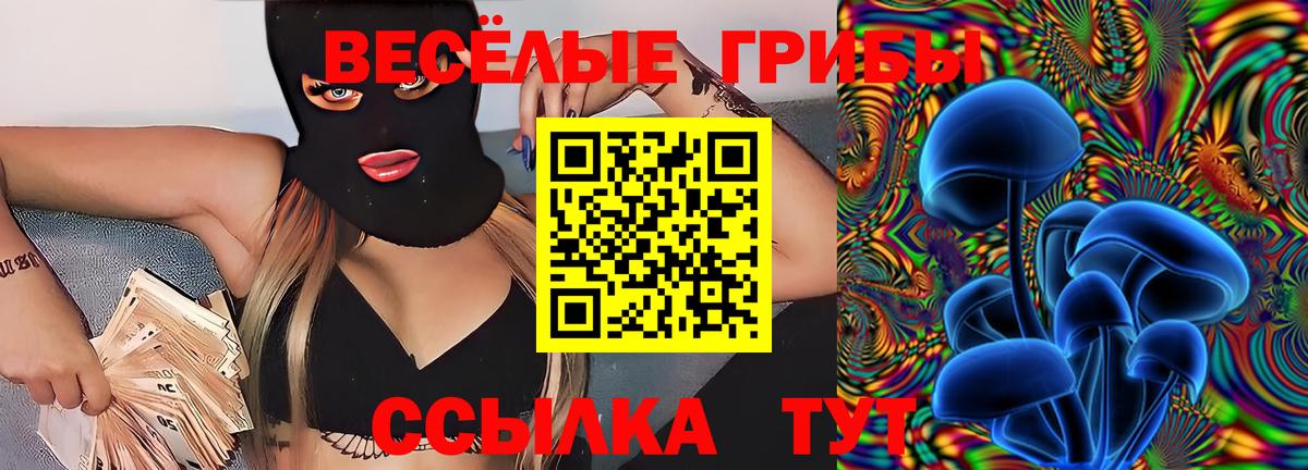 Псилоцибиновые грибы Psilocybine cubensis Пушкино