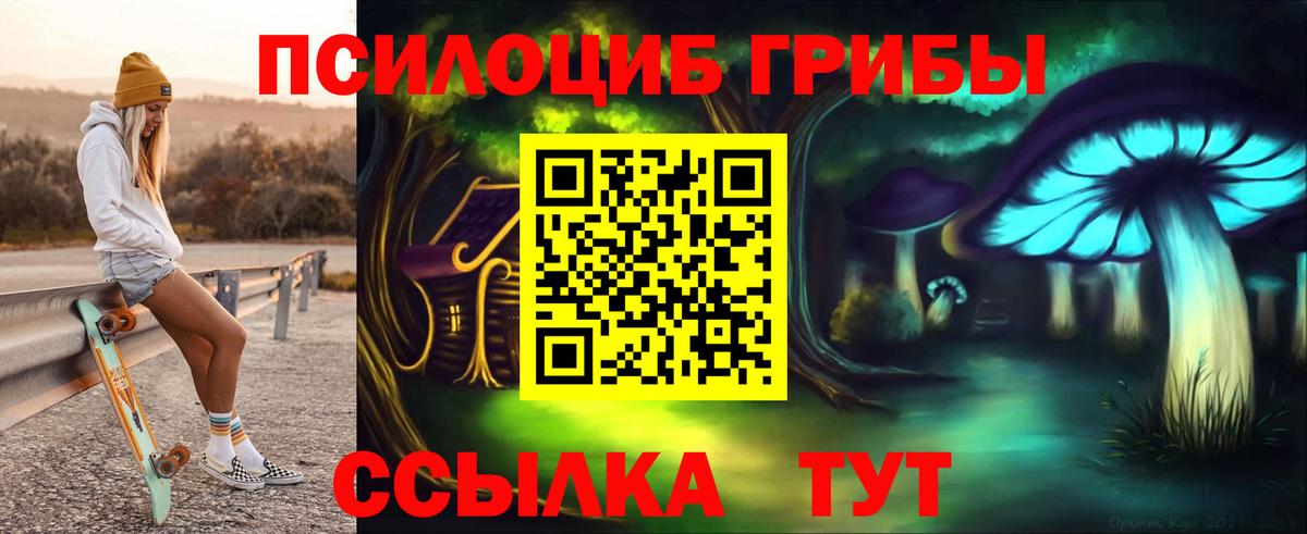 Псилоцибиновые грибы Magic Shrooms  Вход с VPN  Псилоцибиновые грибы Psilocybe  Пушкино 
